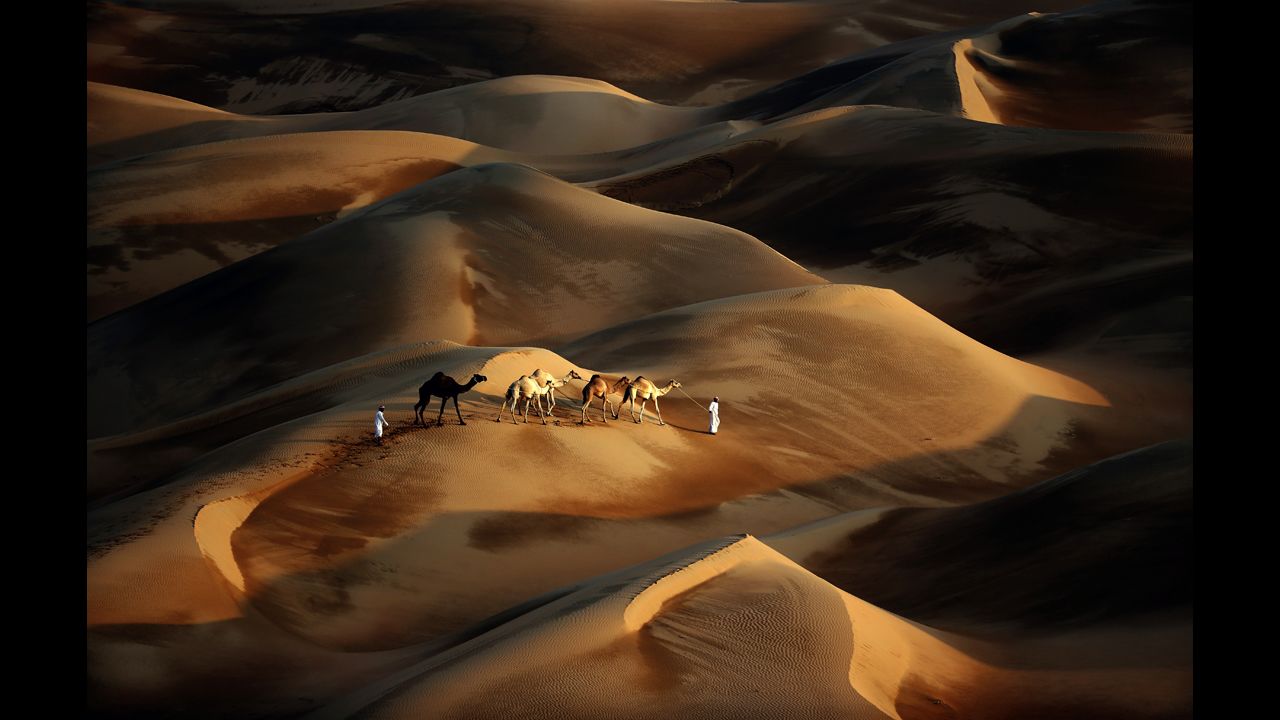 <strong>November 23:</strong> Tribesmen lead their camels through the sand dunes of the Liwa desert in Abu Dhabi, United Arab Emirates.