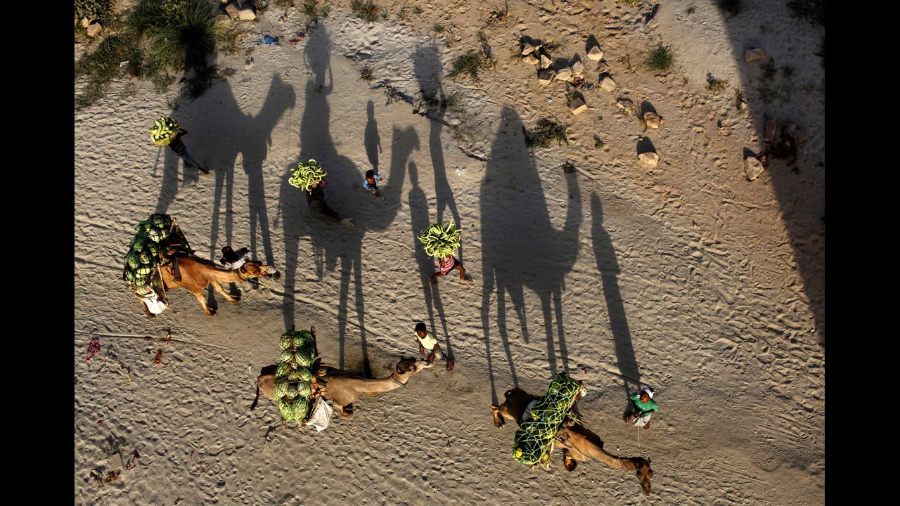 <strong>May 3:</strong> Farmers transport watermelons on camels on their way to market in Allahabad, India.