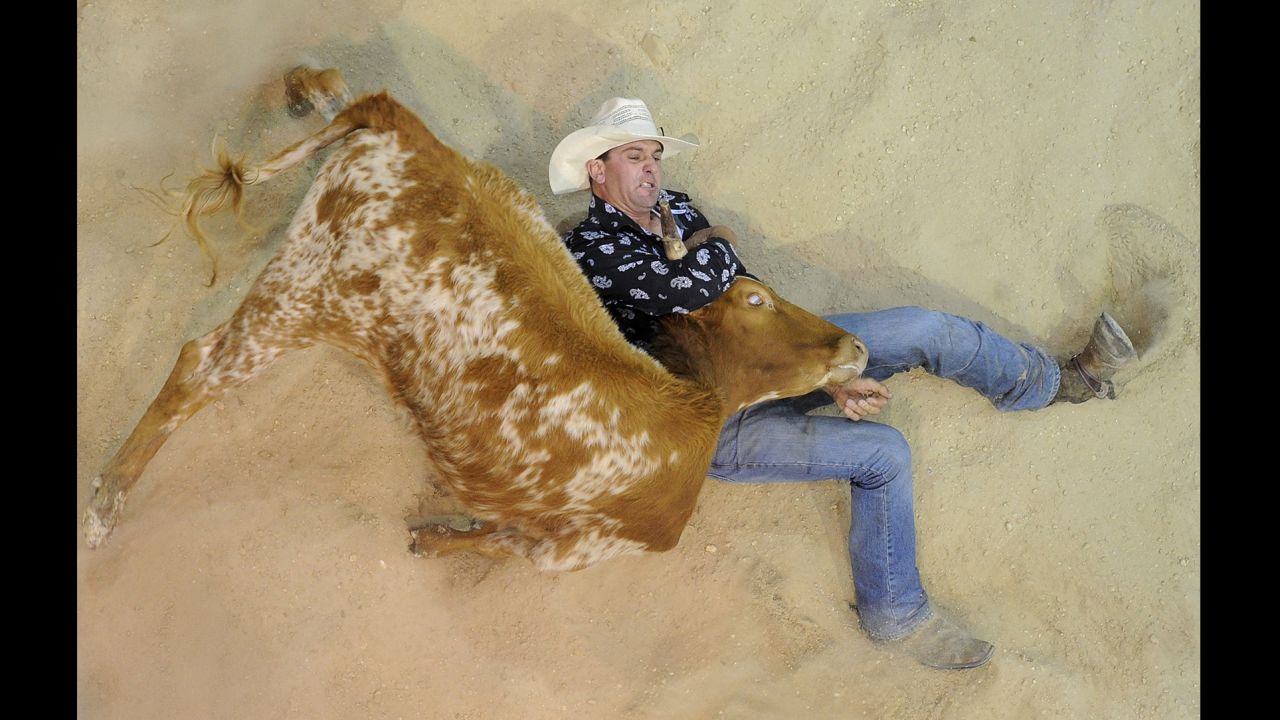 Terry Evison of Nilma competes in steer wrestling during the National Rodeo Finals on June 16 in Gold Coast, Australia.