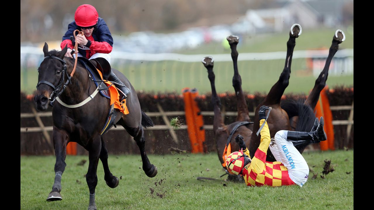 Ifandbutwhynot and Timmy Murphy fall during the QTS Scottish Champion Hurdle Race on April 20 in Ayr, Scotland. The horse and its rider both survived and raced again.