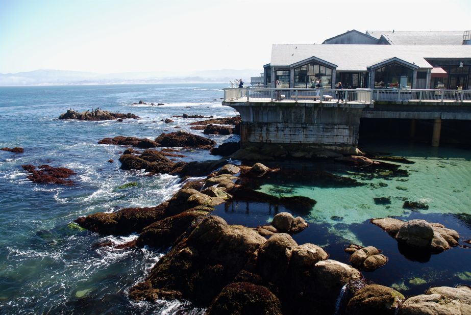The Monterey Bay Aquarium will celebrate its 30th anniversary next year. 