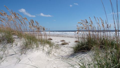Cumberland Island is a magical Southern getaway and national seashore.
