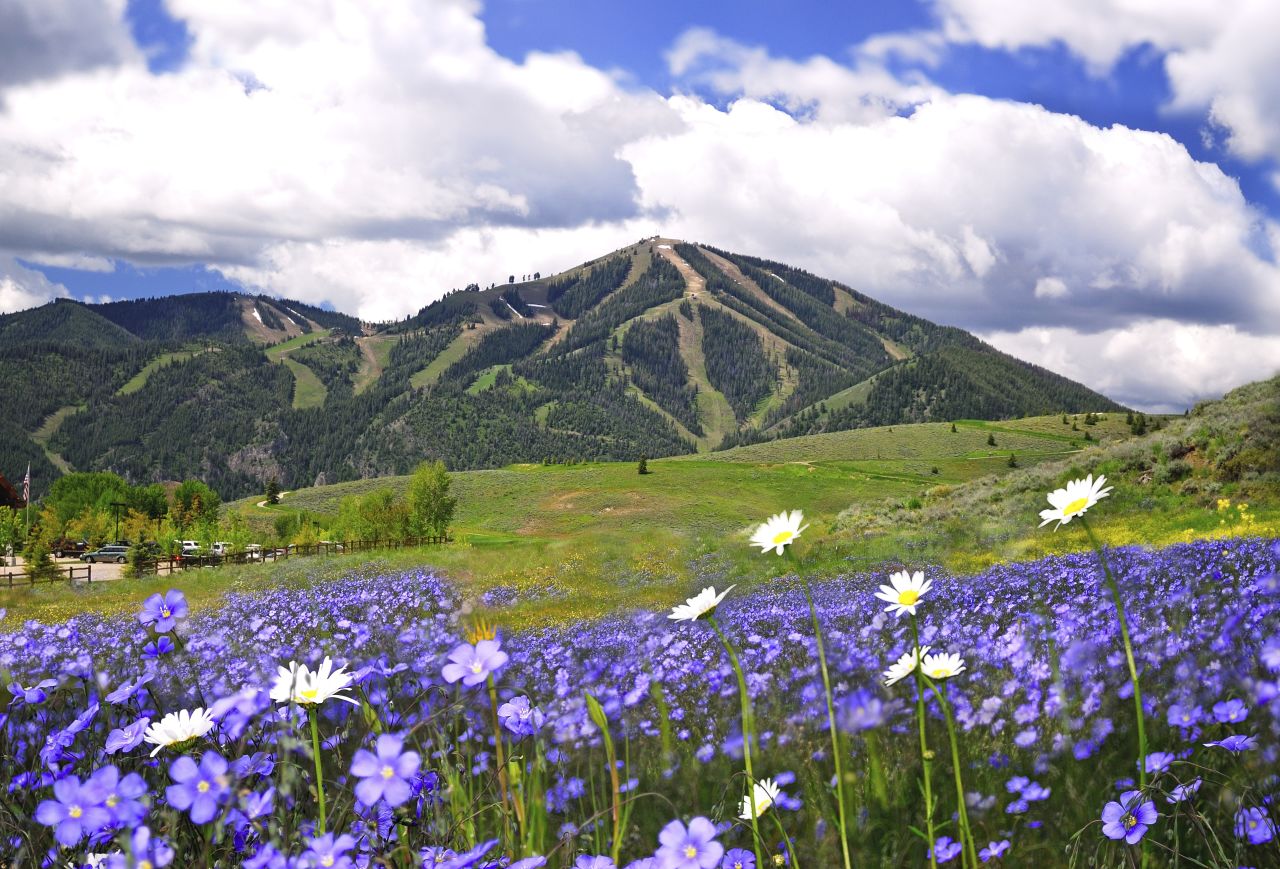In summer, Sun Valley is blooming with gorgeous nature and outdoors activities.
