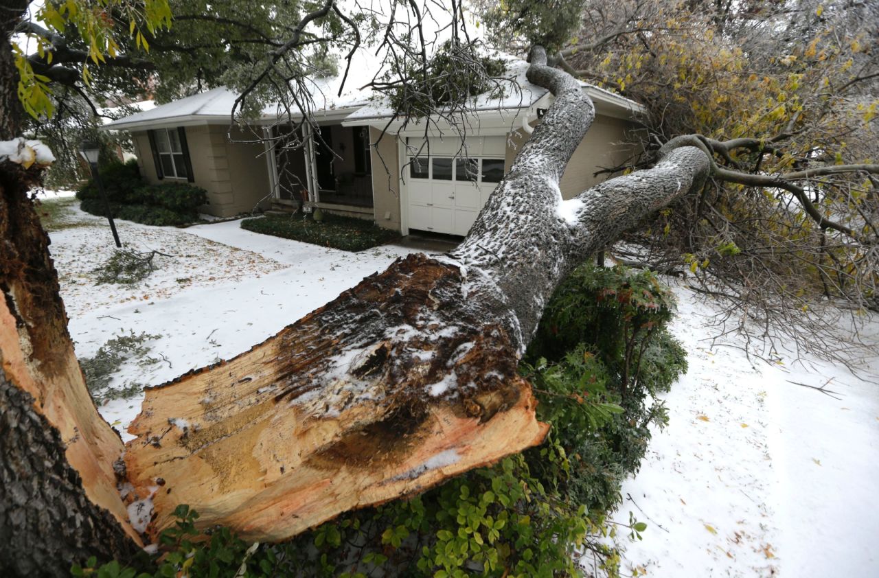 Un árbol caído yace sobre una casa en Richardson, Texas, el 6 de diciembre.
