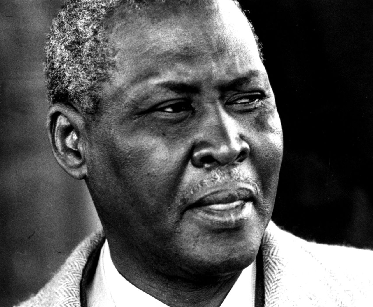 A Zulu chief and a teacher, Albert Luthuli was elected president of the African National Congress in 1952. Luthuli became the first African to be honored with a Nobel Peace Prize (1960) in recognition of his role in the civil rights movement and the nonviolent struggle against racial discrimination.