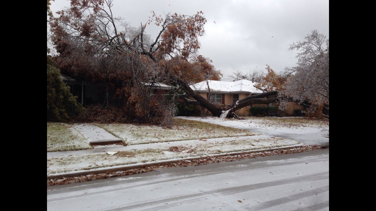A tree, split in two, lays on two homes on December 6 in Dallas in this photograph taken by CNN iReporter <a href="http://ireport.cnn.com/docs/DOC-1066368">Earl Wallace IV</a>.