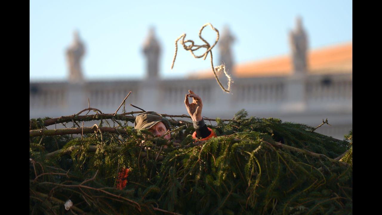 Workers at the Vatican set up the traditional Christmas tree in St. Peter's Square on December 5.