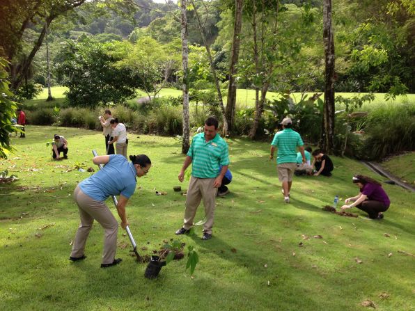 Guests can add to a 1,100-acre rainforest by planting tropical almond saplings, a native species donated to the hotel by a nearby national park.