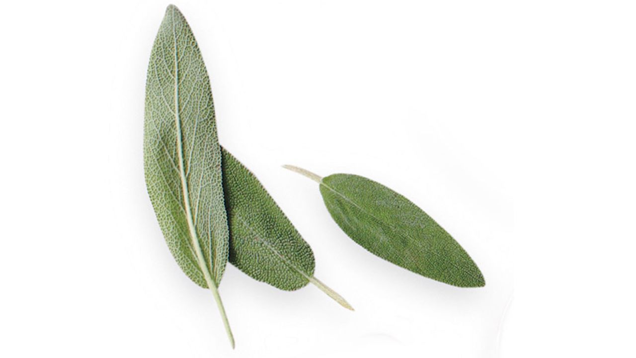<strong>Sage -- </strong>Health perk: A study in the journal Pharmacology Biochemistry and Behavior says this herb helps boost memory. Use it in: Holiday stuffings, soups, and pastas.