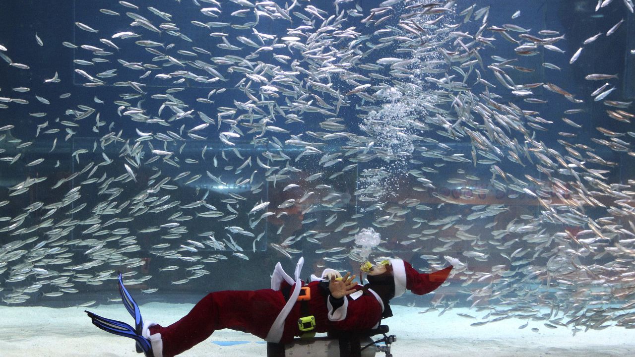 A diver dressed as Santa Claus swims with sardines at the Coex Aquarium in Seoul, South Korea, on Tuesday, December 10.