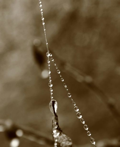 Phil Jefferis stumbled across a <a href="http://ireport.cnn.com/docs/DOC-1067350">spider web covered in ice droplets</a> in his Winchester, Kentucky, backyard on Sunday after an ice storm had passed through. "I actually had to poke at the drops to see that they were frozen, which I thought were really neat."