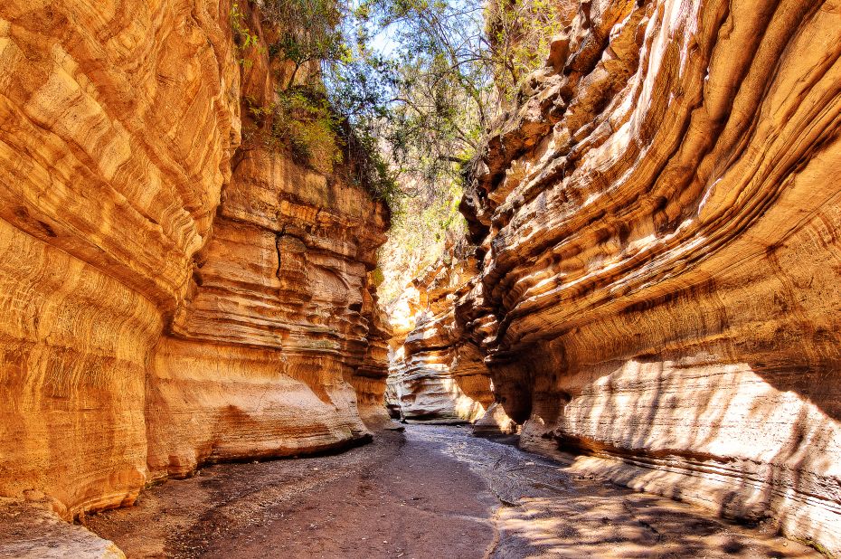 Mutua Matheka says this image was: "Photographed inside the gorge at Hell's Gate National Park in Naivasha."