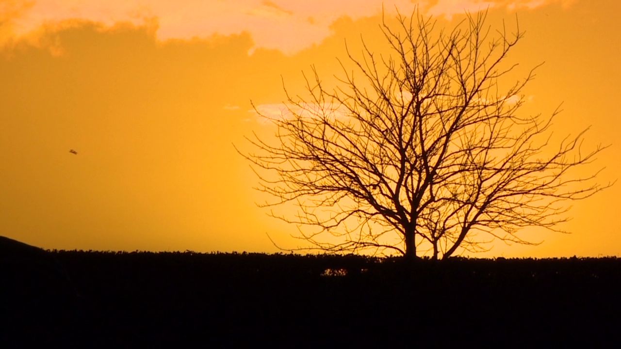 pkg boulden ireland economy farming_00030915.jpg