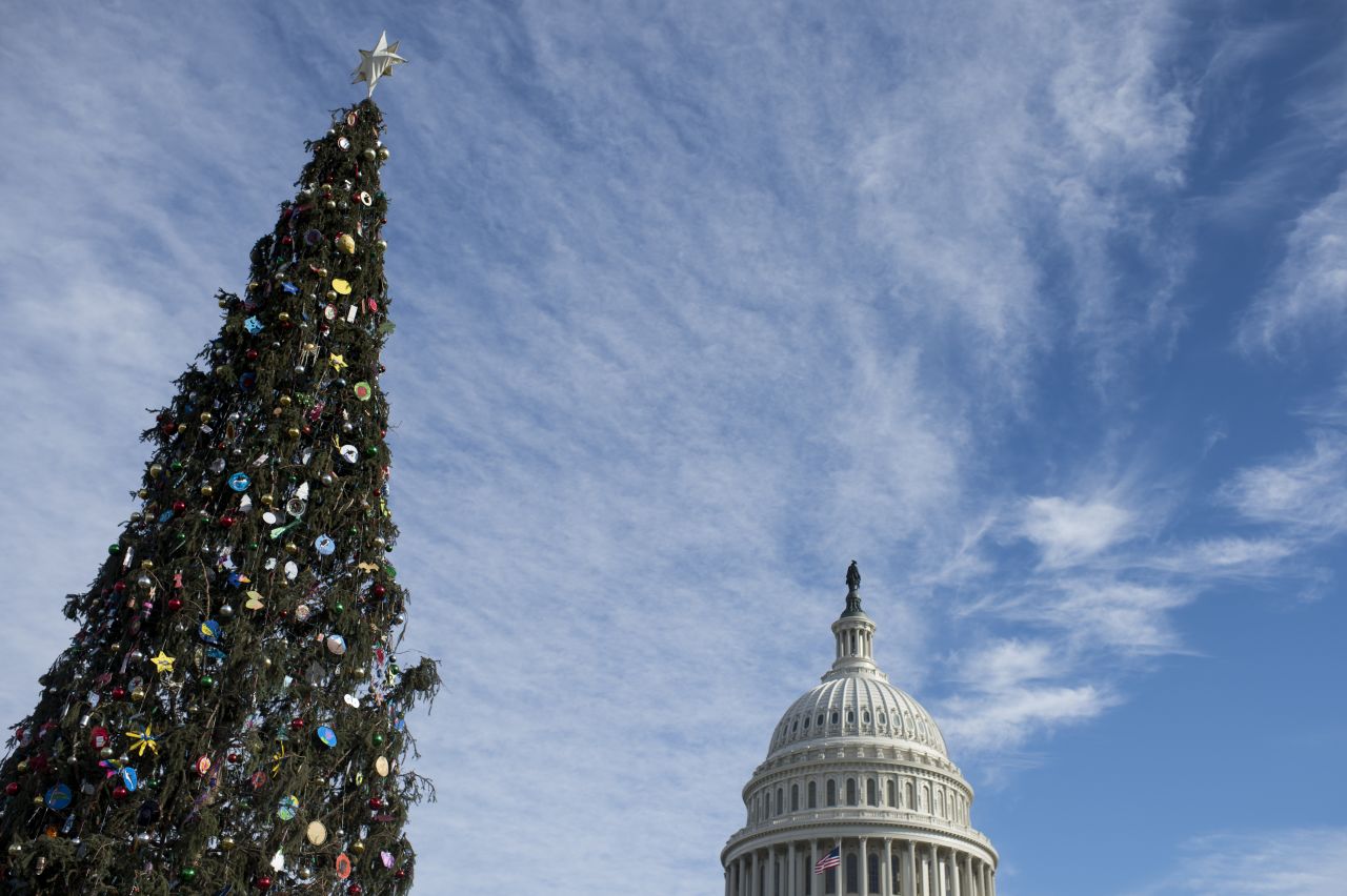 A Christmas tree stands on the West Lawn of the U.S. Capitol on December 11.