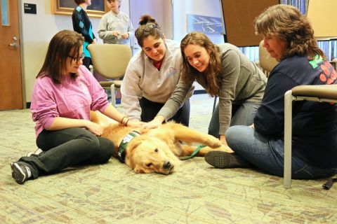 Emory pre-med student Ali Serpe, center, tells the dog she is petting, Wesley, "You are the perfect medicine for finals."
