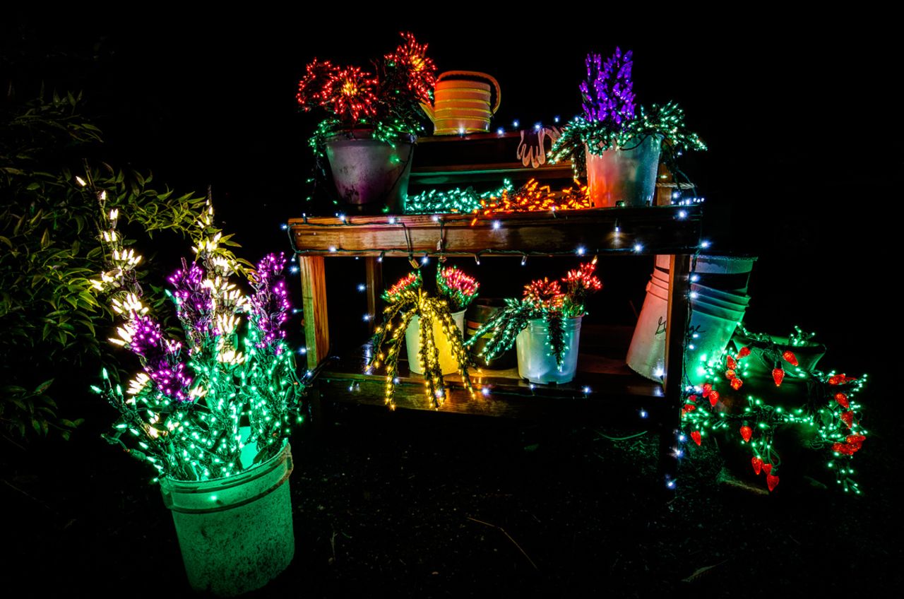 It looks like some Christmas fairies have gone wild on this garden bench and flowers. <a href="http://ireport.cnn.com/docs/DOC-1066308" target="_blank">Brian Xavier</a> took this photo at the Garden D'Lights show -- an annual Christmas lights event put on by the Bellevue Botanical Garden in Washington, U.S. "This is a garden bench scene that gave me the thought that the gardener had just stepped away and left her work for us to see."