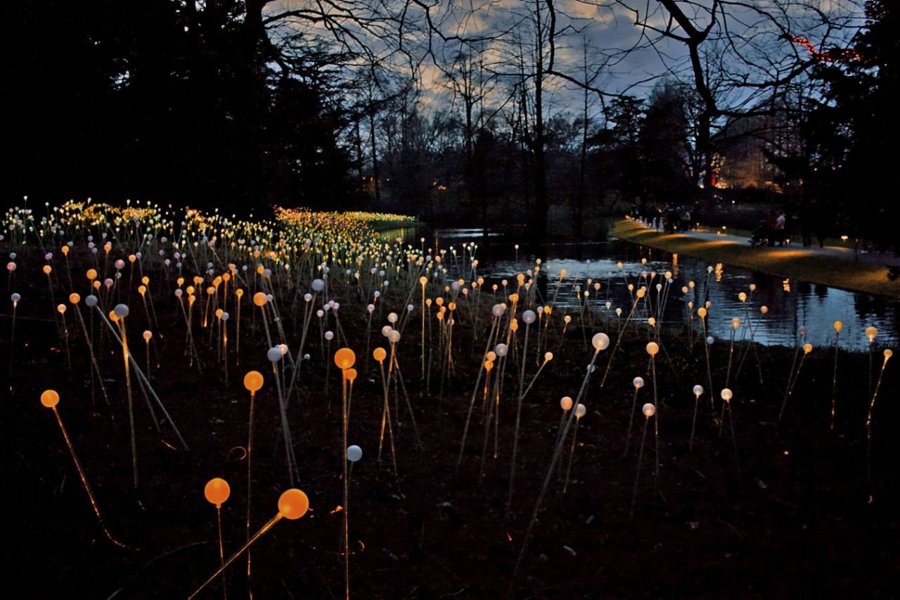 This beautiful "Field of Lights", by artist <a href="http://www.brucemunro.co.uk/" target="_blank" target="_blank">Bruce Munro</a>, can be found in Pennsylvania's <a href="http://longwoodgardens.org/" target="_blank" target="_blank">Longwood Gardens</a>, who have an annual Christmas display. Mickey Raine and his wife Elaine count themselves lucky to be living close to it, "it's hard to fathom anyone loving the Christmas festivities each year there as much as we do," Mickey said.