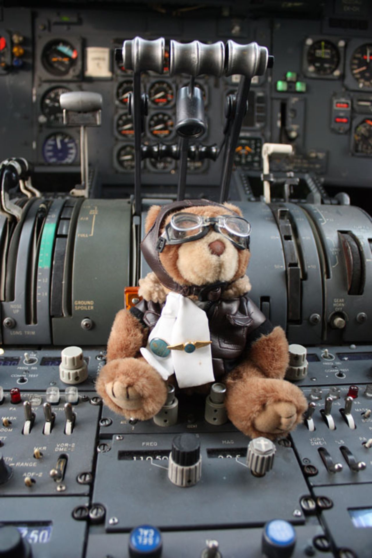 The ORBIS mascot teddy is ready for take off.
