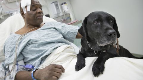 Cecil Williams pets his guide dog Orlando following a fall onto subway tracks from the platform, Tuesday in New York.