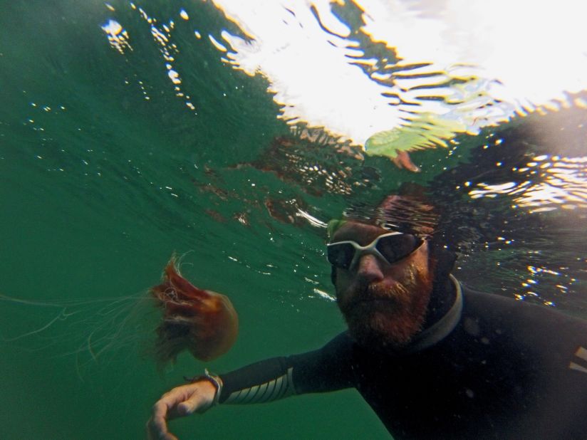 Sean Conway gets up close and personal with a jellyfish during his epic endurance swim of the length of Great Britain. He had to grow a big ginger beard to avoid being stung on his face. 
