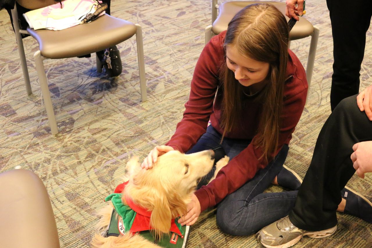 Even after just a couple minutes, students visibly relax with the dogs.