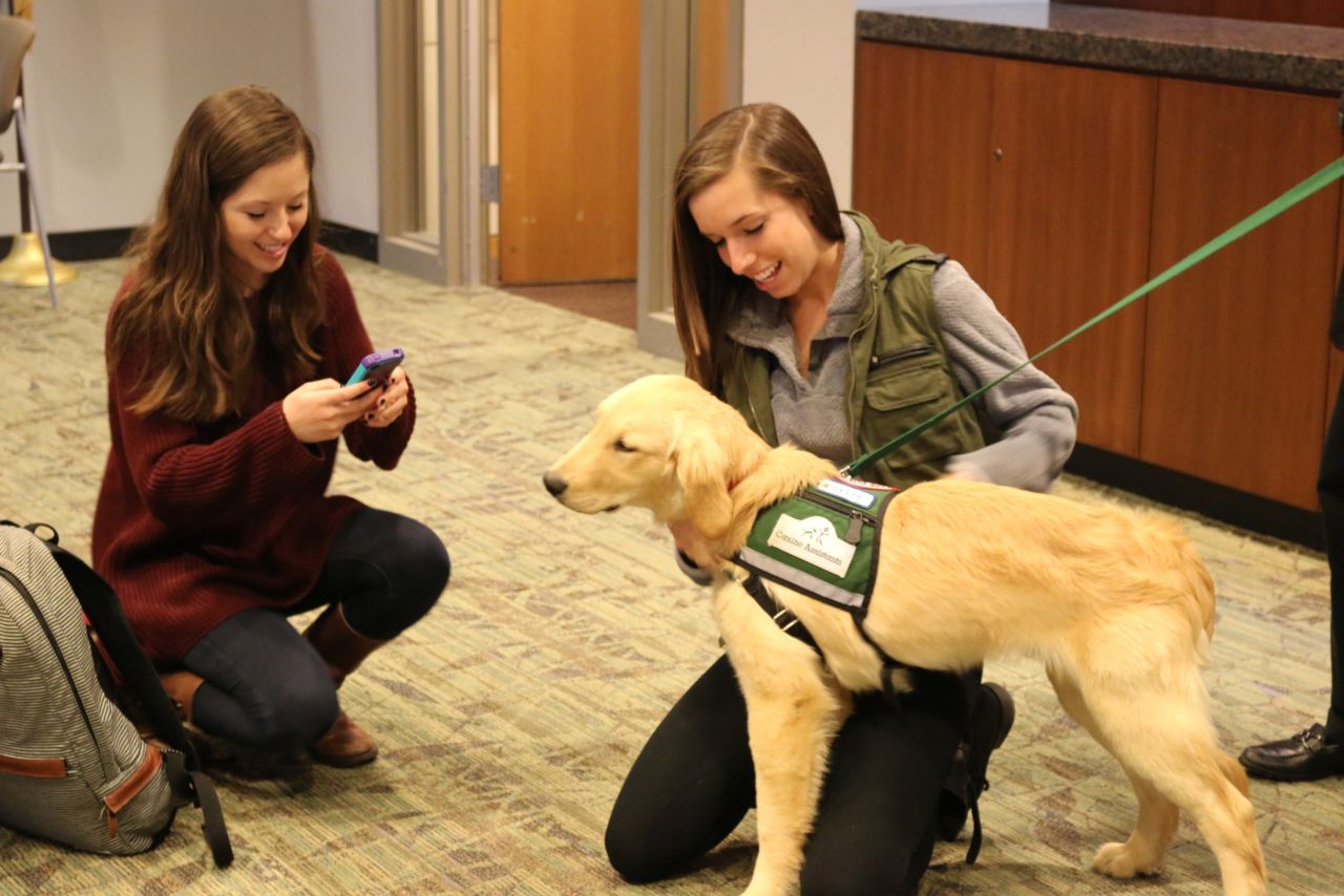 At the end of their dog sessions, Emory students often took photos of their new furry friends to carry a piece of calm with them.
