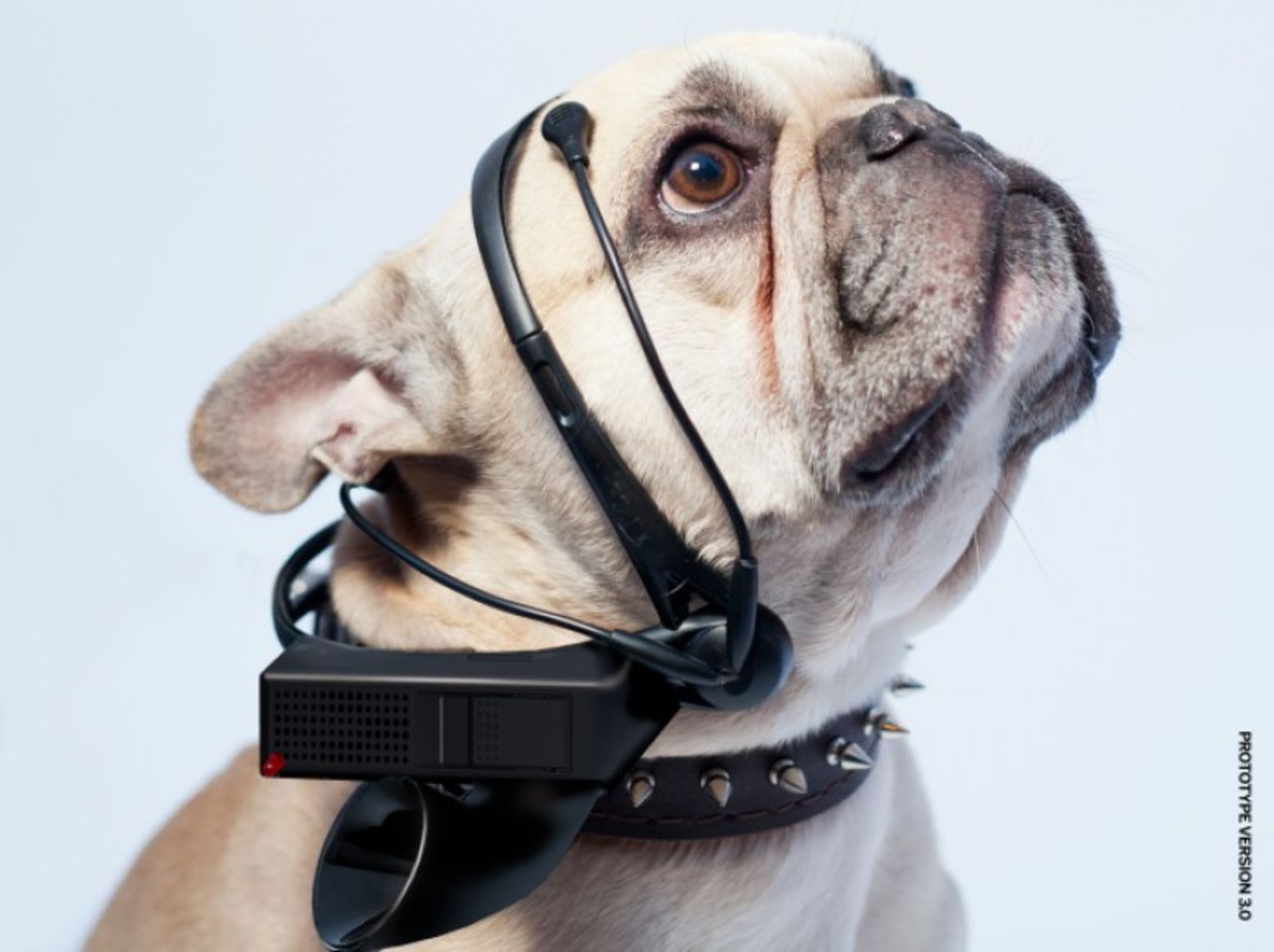 'No More Woof' afirma ser "el primer dispositivo en traducir los pensamientos de los animales al lenguaje humano".