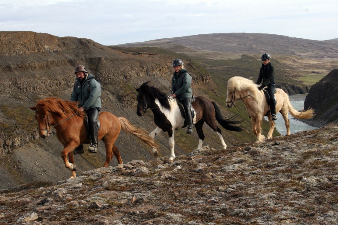 Call these ponies ... if you dare.