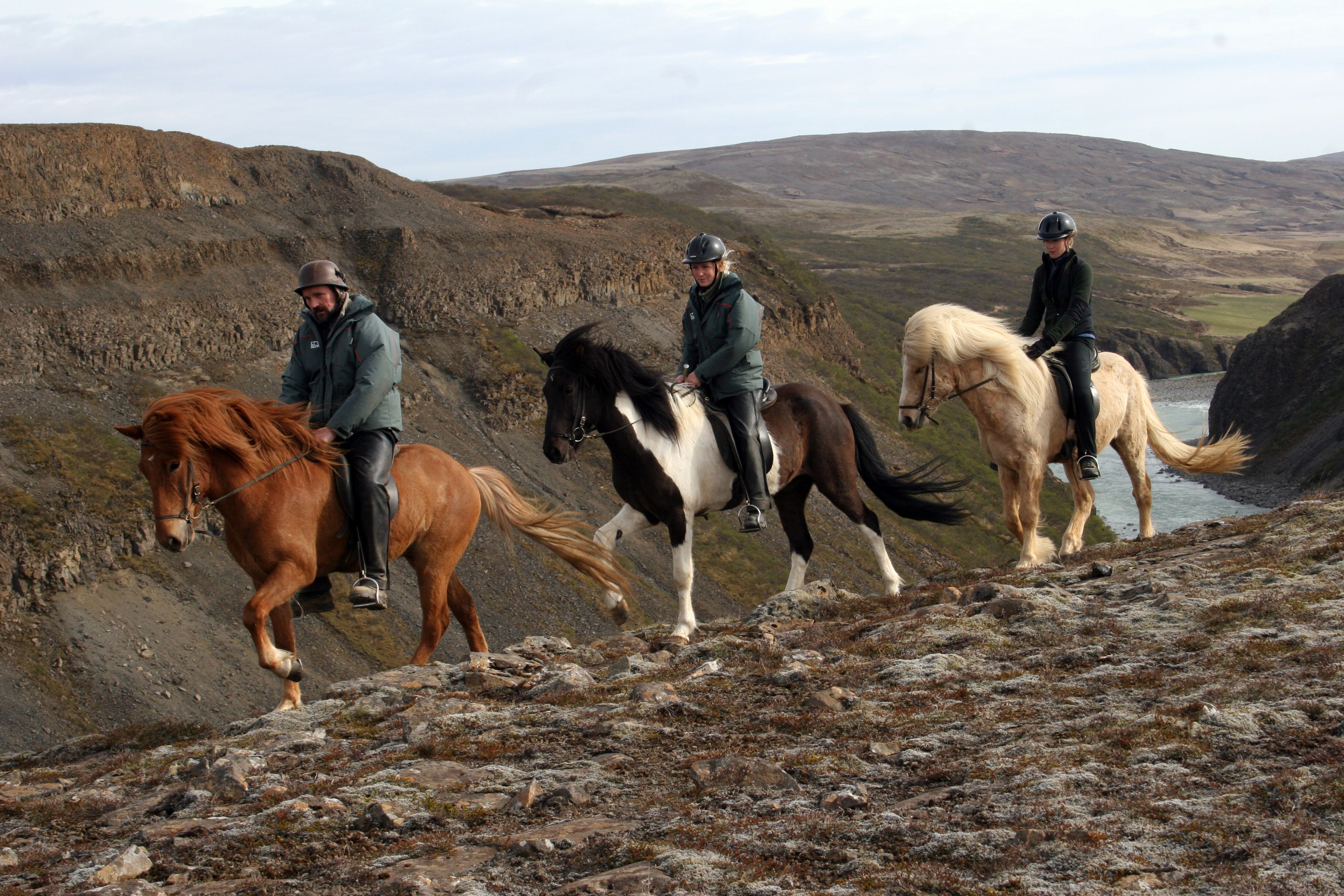 Exploring Horseback Riding Styles around the World