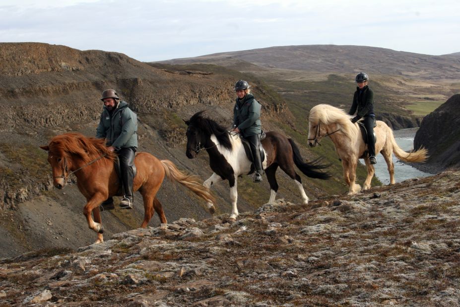 <strong>Golden Circle, Iceland:</strong> Call these ponies ... if you dare. Visitors can combine riding Iceland's distinctive small horses with visits to the destination's top sights, like the mighty Gullfoss waterfalls and hot springs.