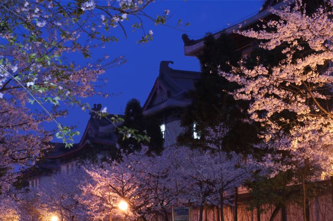 "One of the best places to see cherry blossoms is the historic Jiming Temple and the Examination Hall, which was built during the Minguo (Republic of China) era," says Sun.<br />Nanjing Forestry University, Xuewu Lake and Lovers' Garden are other good places to see cherry blossoms.