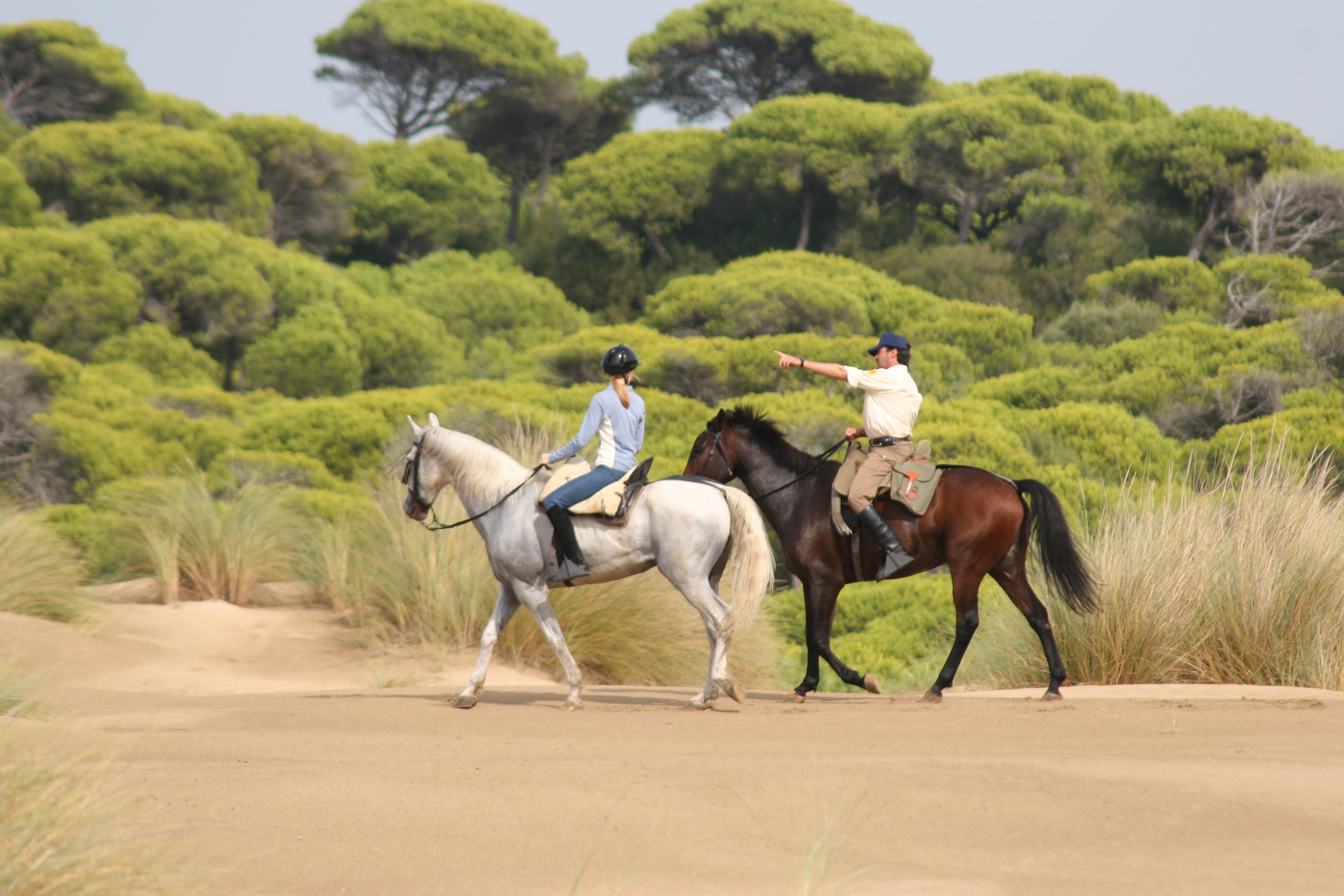 Exploring Horseback Riding Styles around the World