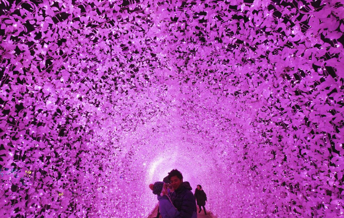 The beautiful light tunnel at the Garden of Morning Calm.