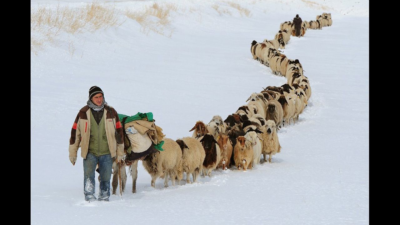 <strong>December 10:</strong> Shepherds make their way back home with hundreds of sheep and horses after heavy snowfall in Van, Turkey.