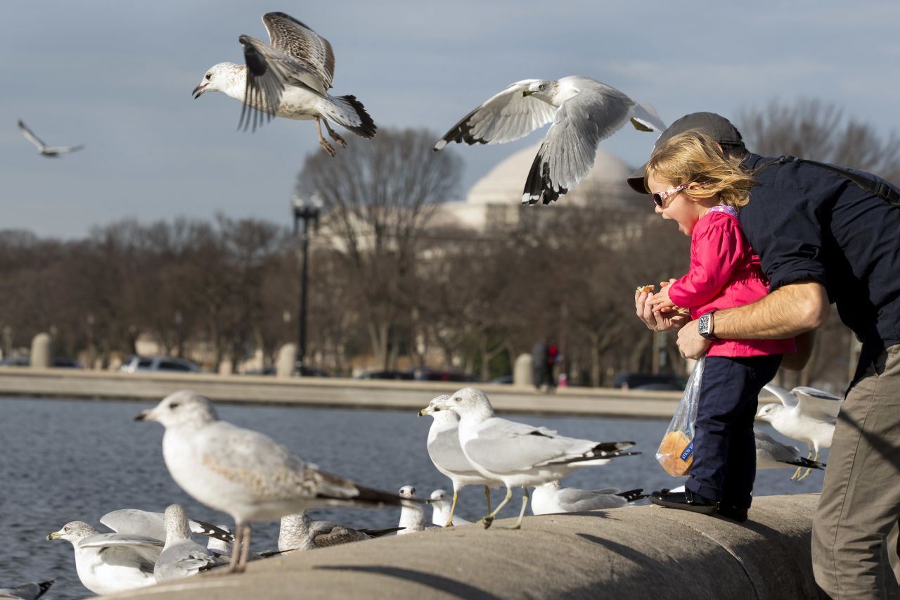 Allegra Michaels, 2, with her father Dave Michaels at the Capitol Reflecting Pool in Washington, screams with delight as they enjoy an unseasonably warm day on December 21. 