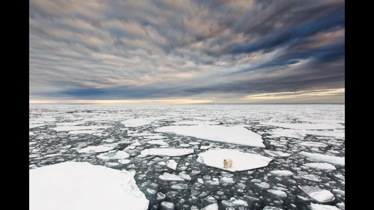 <strong>December 21: </strong>An isolated polar bear searches for seals in the Arctic Ocean.