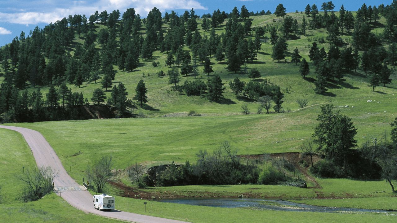 One of the largest publicly owned bison herds in the world lives at <a href="http://gfp.sd.gov/state-parks/directory/custer/" target="_blank" target="_blank">Custer State Park</a> in the Black Hills. There you can also see elk, mountain goats, antelope, wild turkeys and burros. Hike, fish, camp or stay overnight at one of the 71,000-acre park's five lodges. 