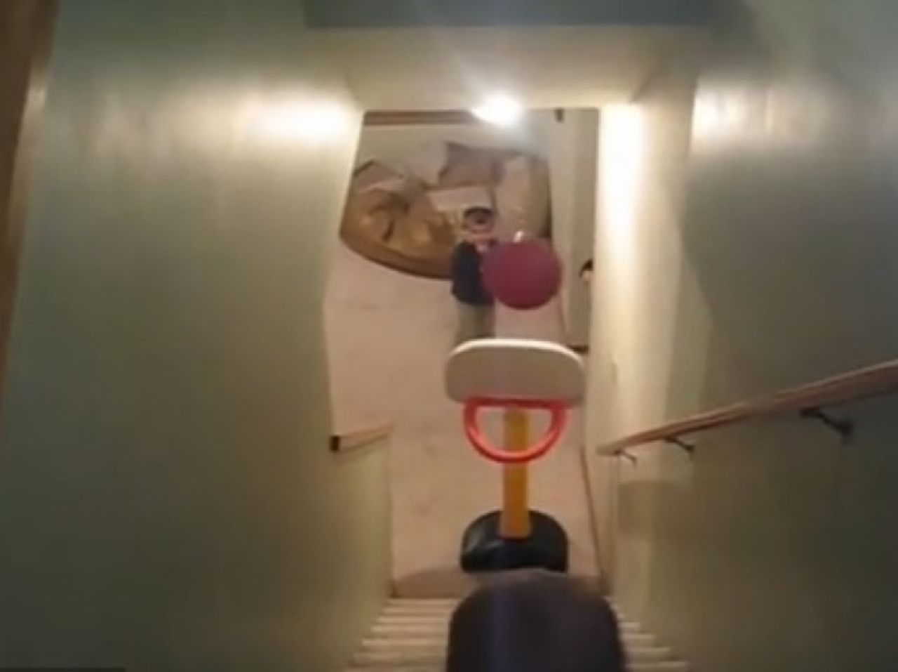 Titus de dos años de edad, quien hace espectaculares lanzamientos, es un basquetbolista profesional y ahora, una estrella de Internet. En videos tomados por su padre, Titus puede hacer casi cualquier tiro de baloncesto ¡desde cualquier lugar! ¡Incluso ha competido con Kobe Bryant y Shaq!