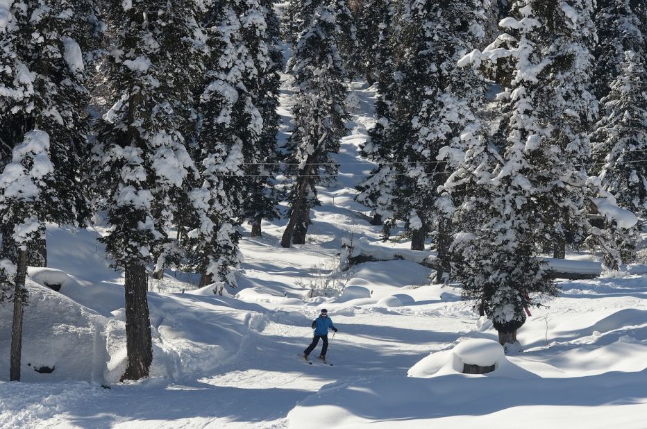 The Poma slopes -- so-called because of the type of lifts that lead to them -- are great for beginners and include some beautiful runs through the forests that encircle the resort.