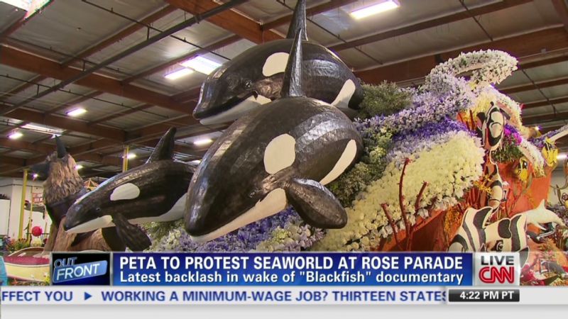 PETA takes on SeaWorld at Rose Parade