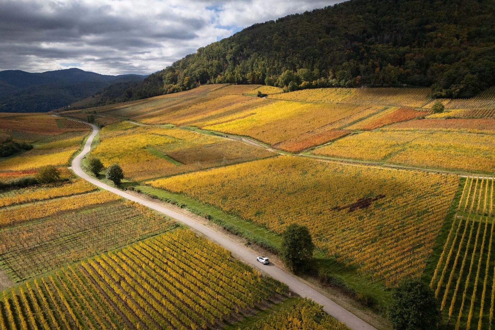 Fall colors are on full display as a vehicle passes through Hunawihr, France, on Wednesday, October 15.
