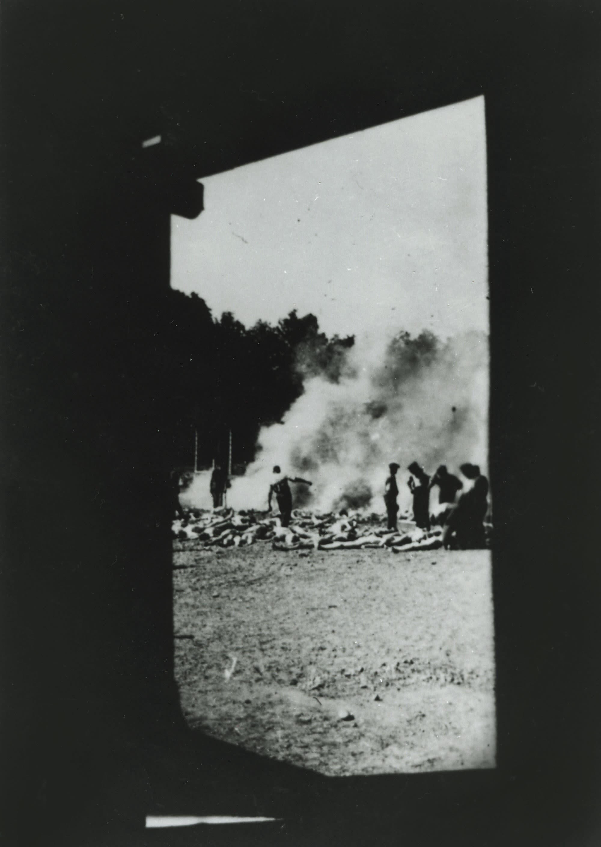 This picture shows prisoners' bodies being burned in the Auschwitz-Birkenau camp in August 1944. It was secretly taken by a Jewish prisoner who was forced to work in and around the gas chambers.