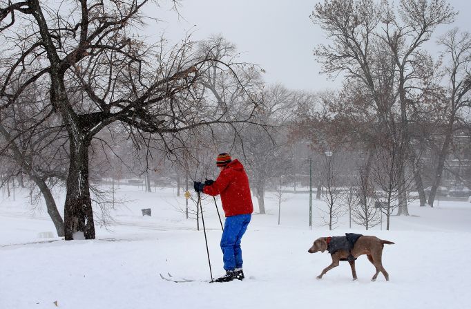 With his dog in tow, a man skis across heavy snow in Humboldt Park on January 2.