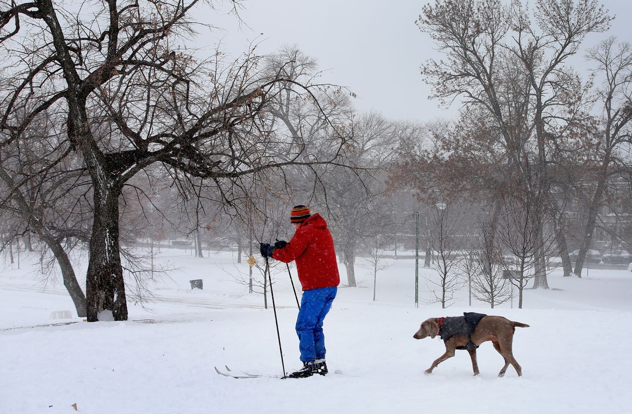With his dog in tow, a man skis across heavy snow in Humboldt Park on January 2.