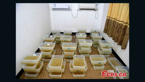 china meth raid 2