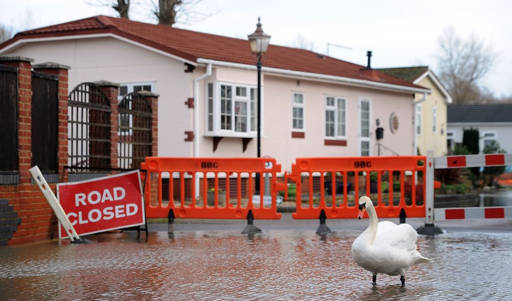 A swan wades in floodwaters from the River Stour in Bournemouth, England, on January 3.