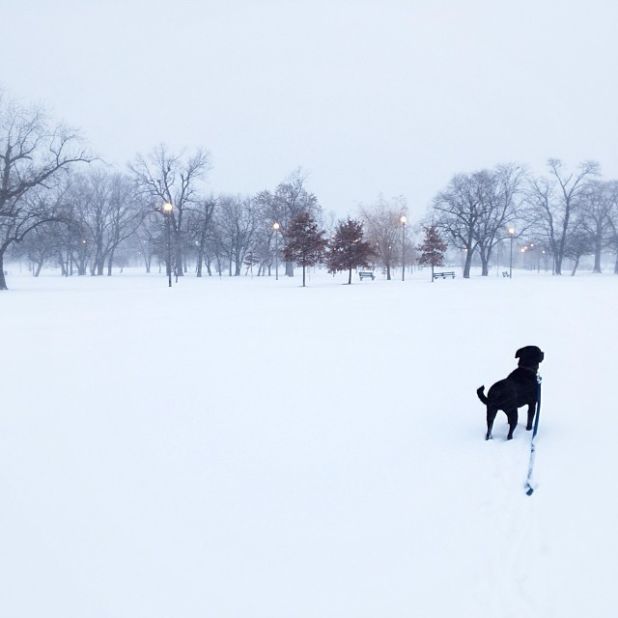Winter weather brought on a whiteout on January 2 in Chicago's Humboldt Park neighborhood, said<a href="http://ireport.cnn.com/docs/DOC-1072304"> Ivan Vega</a>. He went out for a walk in the 20-degree weather with his dog, Sergeant Thomas.