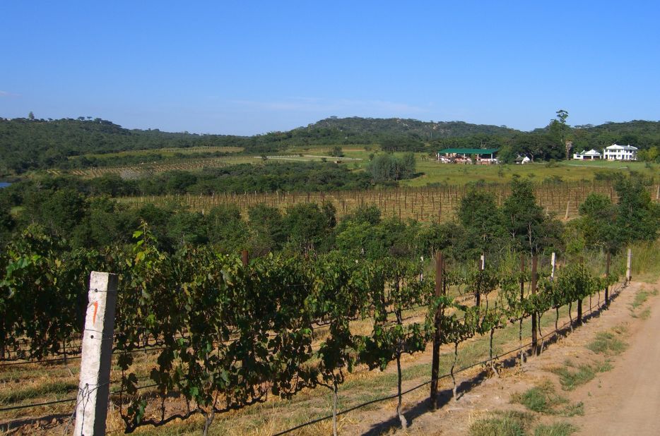 Bushman Rock vineyard: The climate and soils in Melfort, Zimbabwe, create suitable conditions for wine production in the Bordeaux style. Bushman Rock claims it is producing unique Zimbabwean wines in the old world fashion.