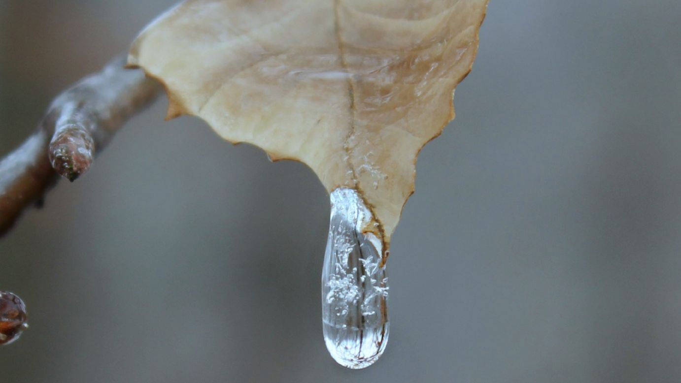 Nature photographer Candice Trimble bundled up in layers to snap some shots of the frozen conditions outside her home in Front Royal, Virginia, on Sunday, January 5.  She watched this water hit the leaf and then completely freeze.