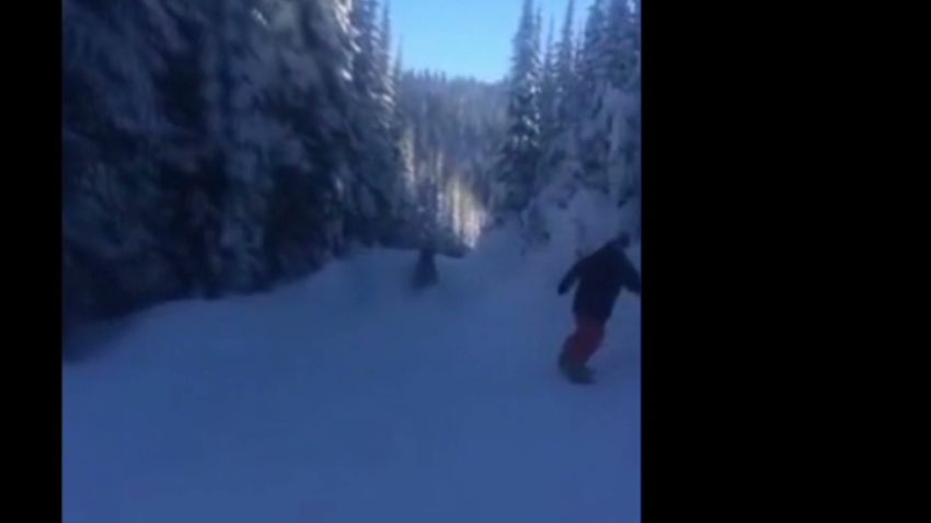 tsr moos snowboarders chase moose _00002927.jpg
